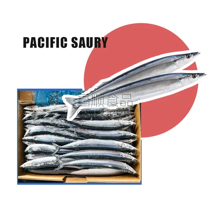 A Frozen Pacific Saury