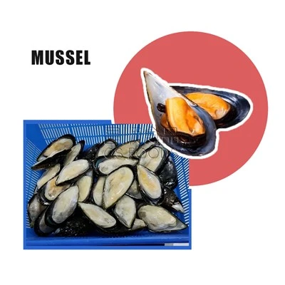 Midie înghețată
