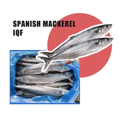 IQF macrou spaniol