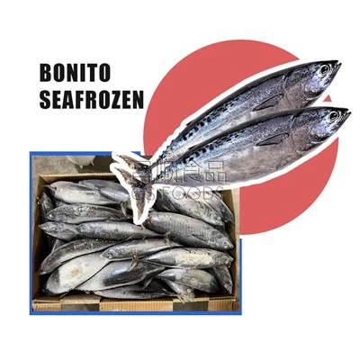 Bonito înghețat de mare